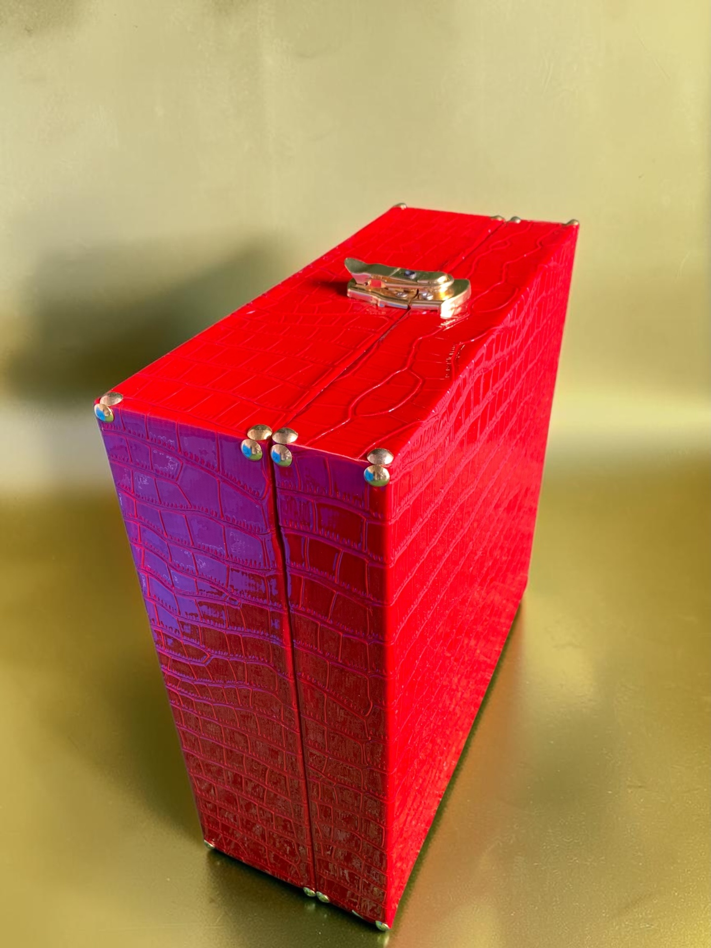 Ruby Croc Leather Trunk · 2