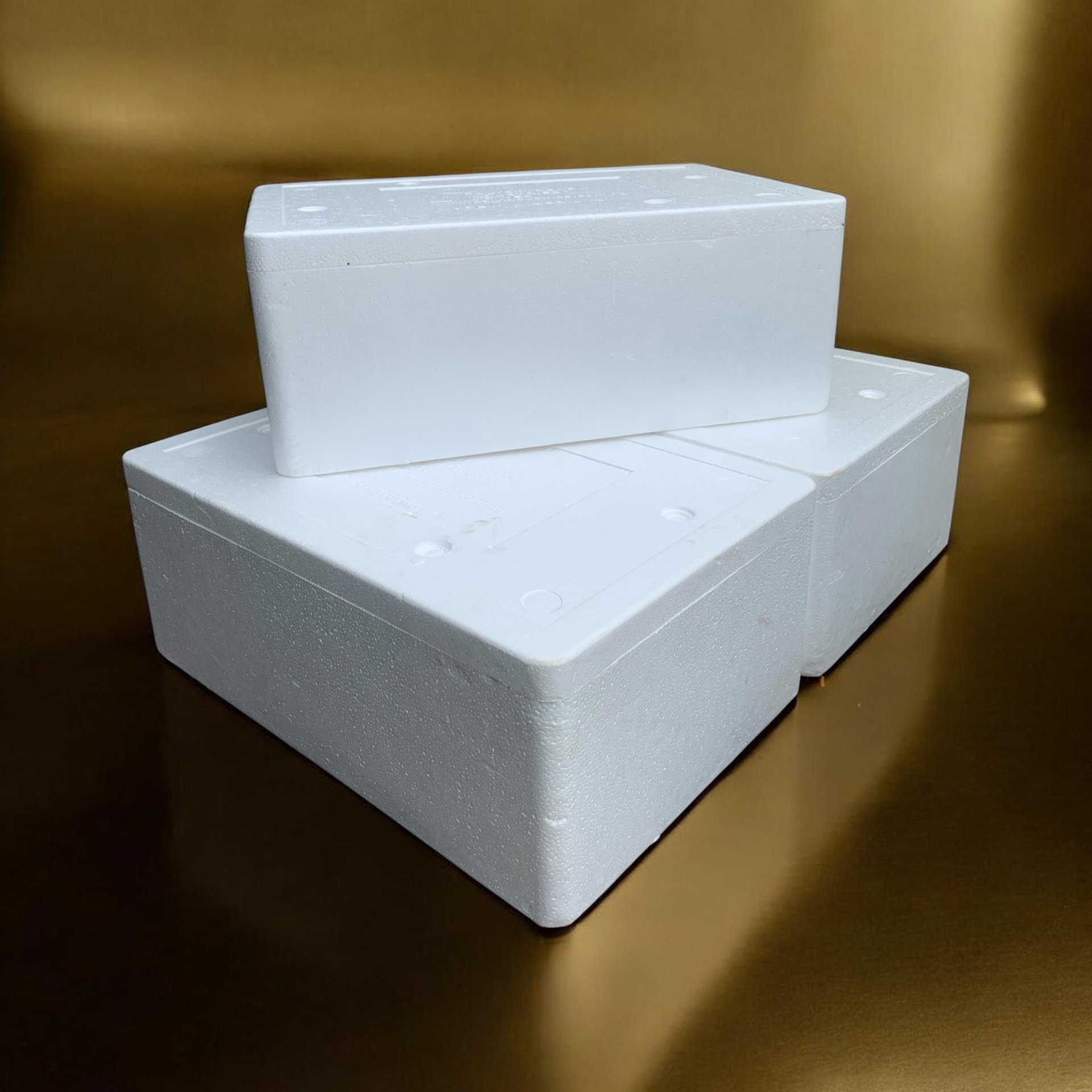 Styrofoam Cooler Box