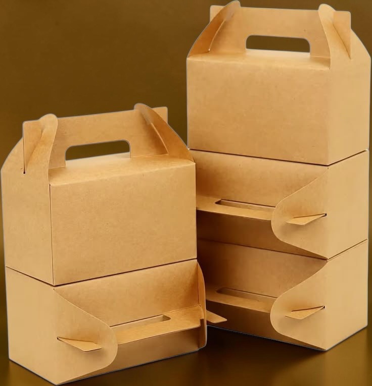 Gable Carry Box Duo